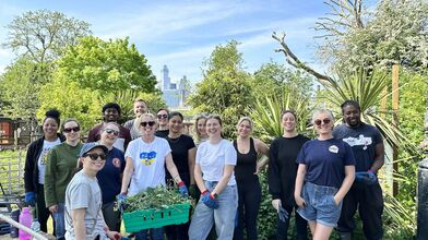 TM Forum volunteering at farm 2025