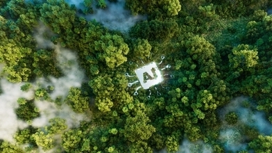 AI and sustainability 