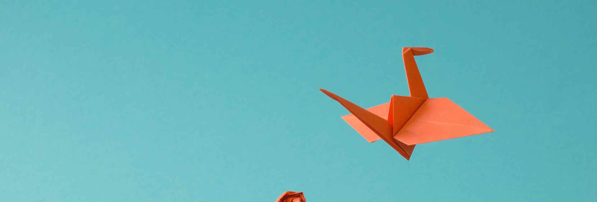 Paper origami from crushed ball  to bird orange blue