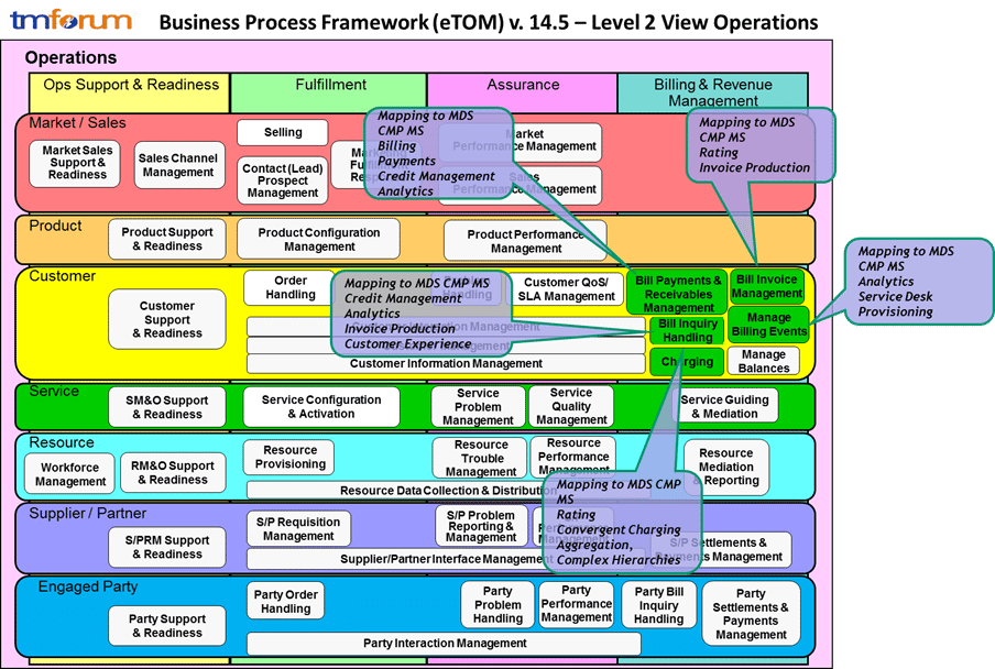 MDS CMP MS Business Process Framework Summary